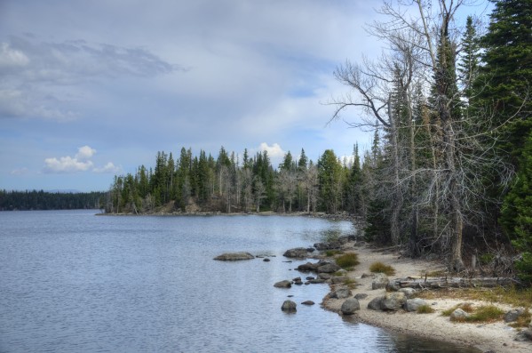 Dream Land by Dennis Blum